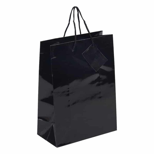 Bolsa-lujo-22x30x11-negro