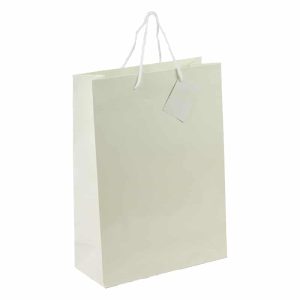 Bolsa de lujo marfil