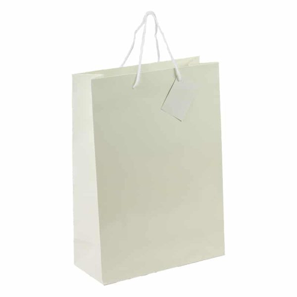 Bolsa de lujo marfil